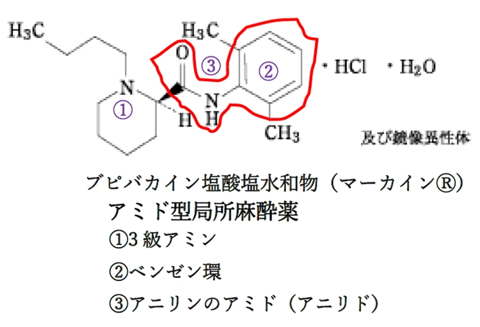 局所麻酔薬の構造の特徴 薬学化学